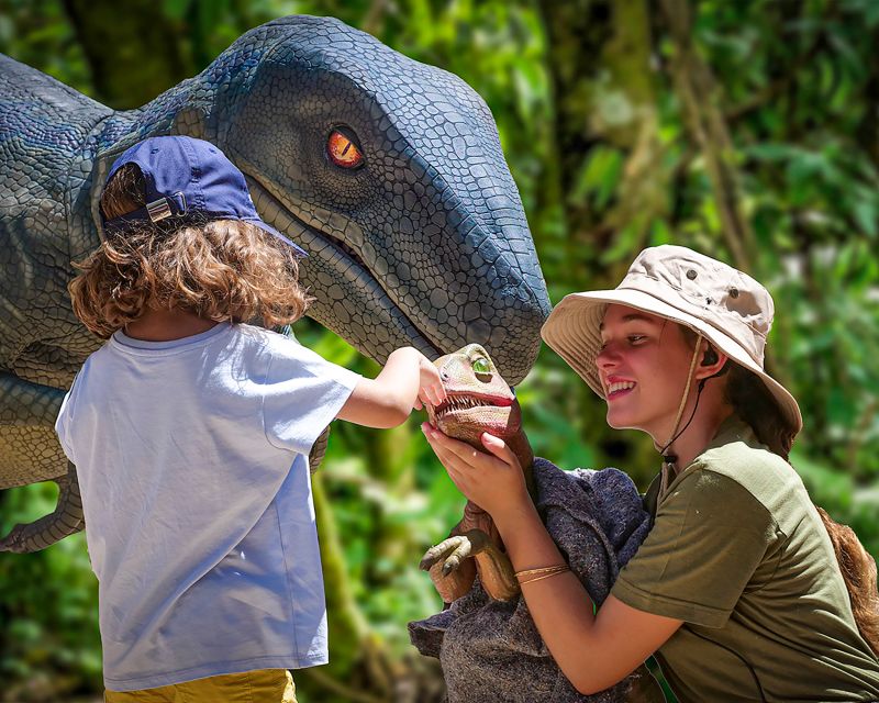 Mallorca: Dinosaurland and Caves of Hams Combined Ticket - Timing your 2-hour visit (and why 2:45 PM helps)