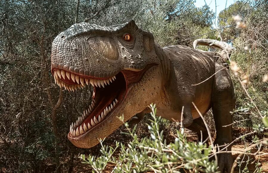 Mallorca: Dinosaurland Park, Hams Caves & Porto Cristo Tour - Key things I’d mark on your must-do list