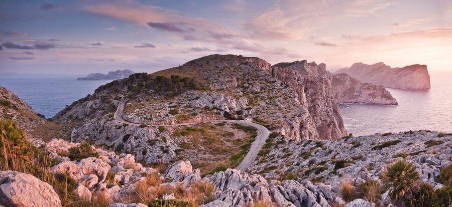 Mallorca: Discover Paradise: Formentor and Playa de Muro - Who This Tour Suits Best