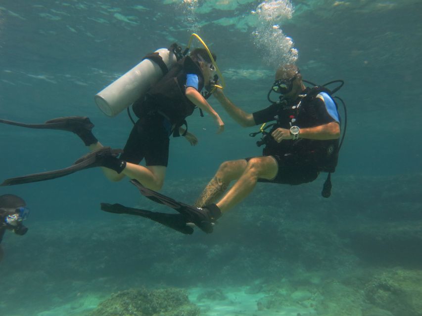 Mallorca: Discover Scuba Diving for Beginners - Price and value at $176: what you’re really paying for