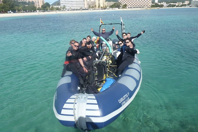 Mallorca: Discover Scuba Diving from the boat - Quick take: what you’ll remember