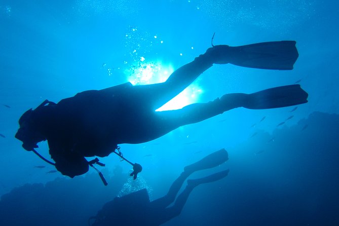 Mallorca: Discover Scuba Diving from the boat - Water Session 2 Up to 12 Meters: When Comfort Meets Conditions
