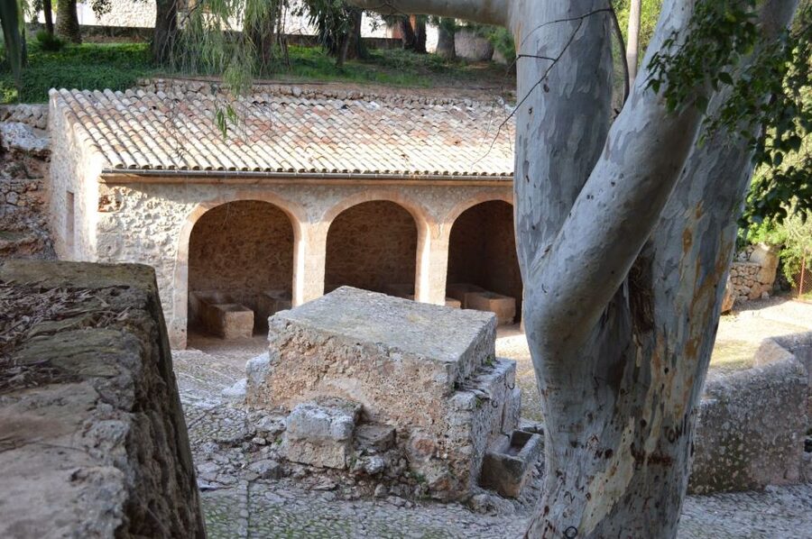 Mallorca: Discovering 5 Charming Villages of Mallorca - Pina and Lloret: where tastes and stories meet