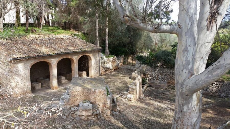 Mallorca: Discovering 5 Charming Villages of Mallorca - Food tastings: three chances to eat Mallorca the local way