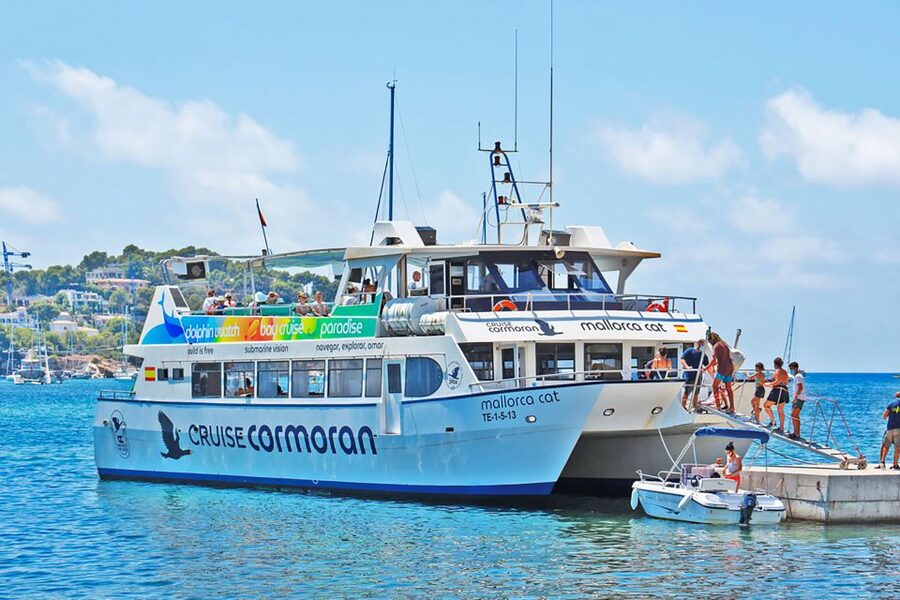 Mallorca: Dolphin Watching Cruise - Key Things I’d Prioritize on This Cruise