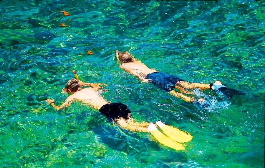 Mallorca: Dolphin Watching Cruise - What the Dolphin Spotting Looks Like in These Waters