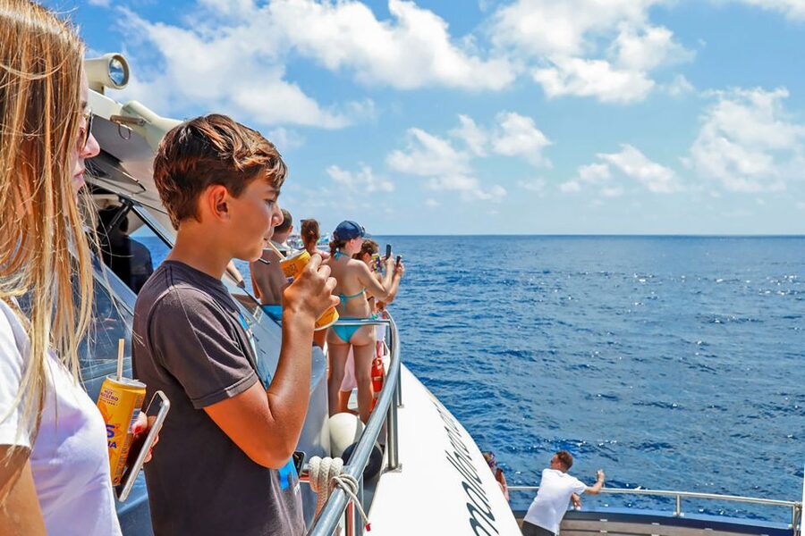 Mallorca: Dolphin Watching Cruise - Onboard Comfort: Bars, Drinks, Snacks, and Family Energy