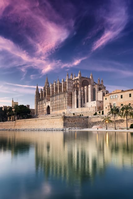 Mallorca: Drach and Hams Caves, and Porto Cristo Day Tour - Languages, comfort, and camera reality in the caves