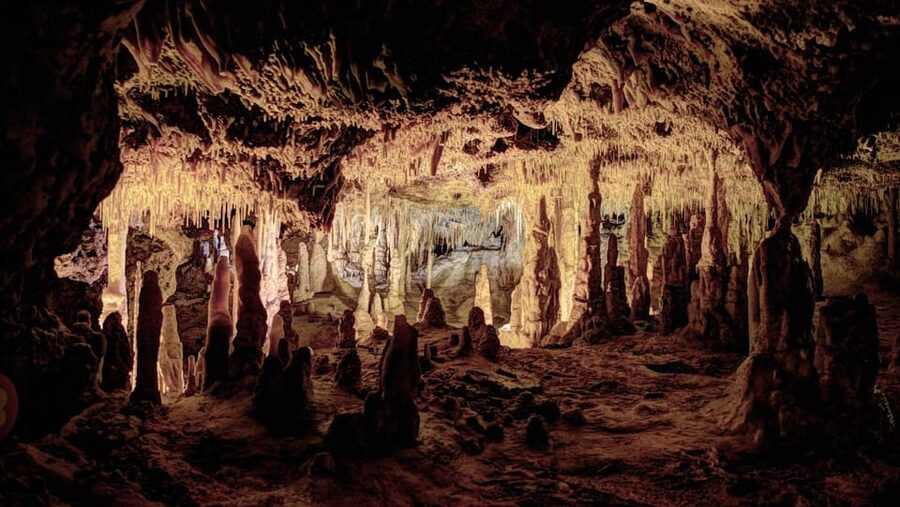 Mallorca: Drach Caves, Lake Martel, & Pearl Factory Day Trip - Lake Martel Boat Ride: The Optional View Change That Often Makes It Click