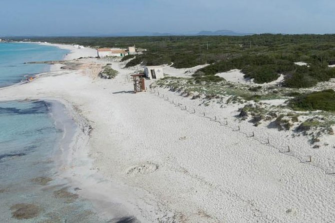 Mallorca Es Trenc Beach Day Tour with Hotel Pick up - The Bus Experience: Comfortable, Guided, and Strict on Masks