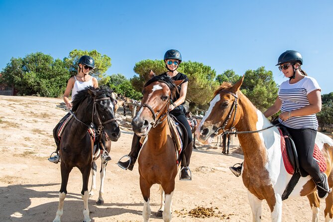 Mallorca Evening Tour: Horseback Riding, Dinner and Dance - The horse ride: how the 1.5 hours works for beginners and advanced riders