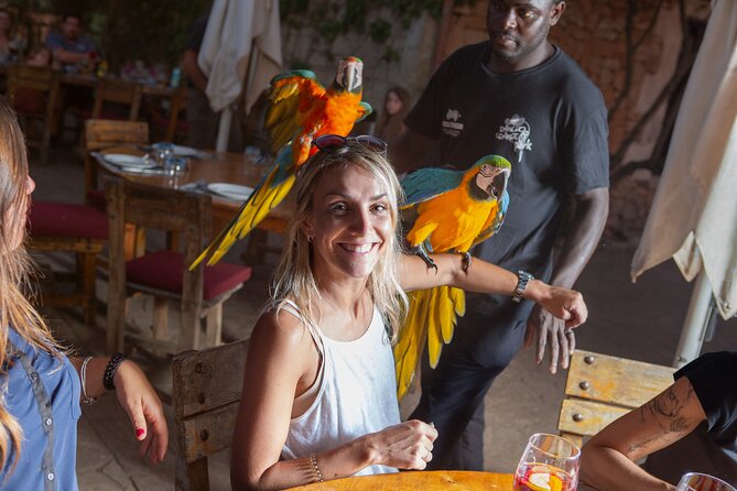 Mallorca Evening Tour: Horseback Riding, Dinner and Dance - The equestrian performance: the 20-minute show that lands the plane