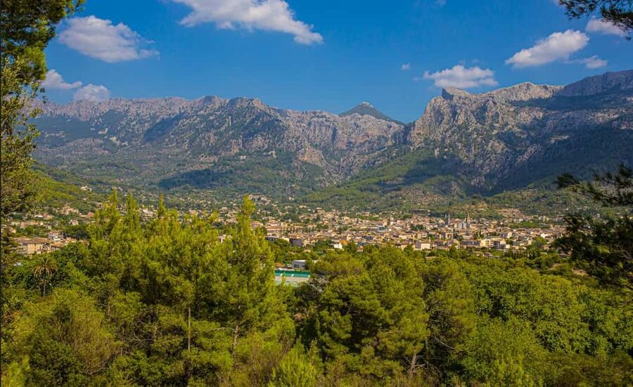 Mallorca: Exclusive Soller Train and Tram Half-Day Tour - The tram ride to Port de Sóller: the valley stretch you can feel