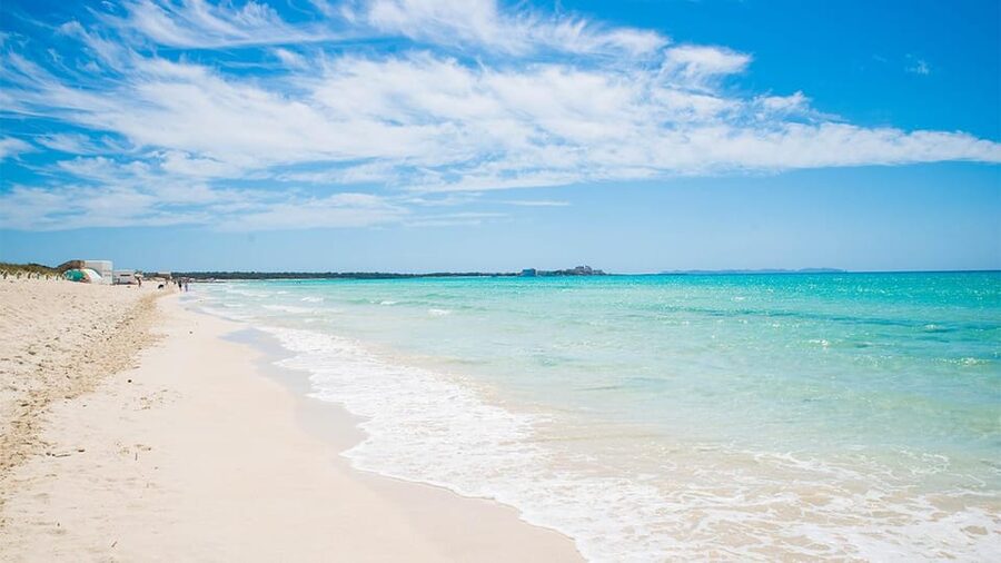 Mallorca Experinence: Es Trenc con Paddlesurf y Snorkel - Snorkeling in Clear Water: Fish, Rocks, and Shallow Exploration