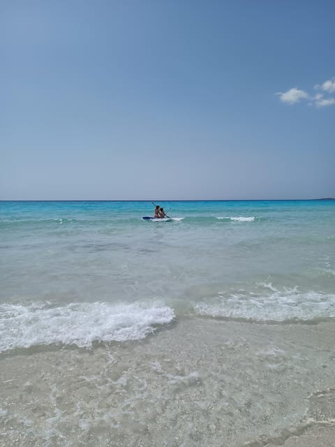 Mallorca Experinence: Es Trenc con Paddlesurf y Snorkel - The GoFurGo Van Day: Pickup Zones and a Clear End Time