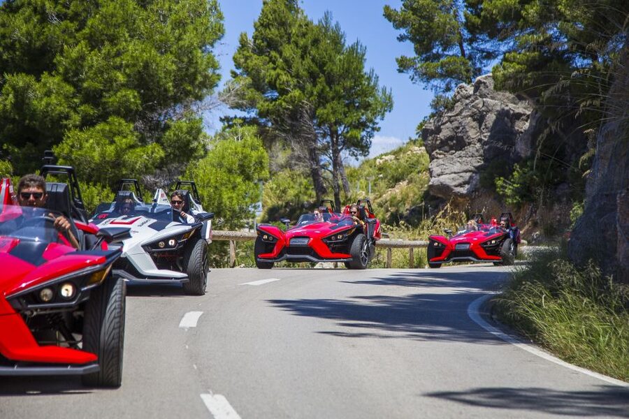 Mallorca: Formula Car Tour - North coast drive: Banyalbufar roads and Estellencs viewpoints