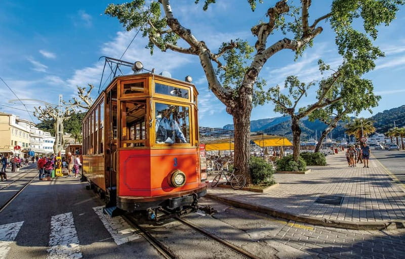 Mallorca: Full-Day Island Tour by Train, Tram, and Boat - Guide and driver factors: multilingual comfort, plus the occasional mismatch