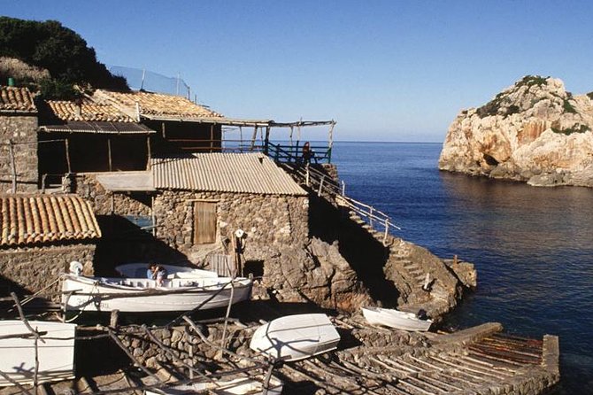 Mallorca Full Day Tour by Train, Tram and Boat - The In-Between Times: Lunch Options, Beach Minutes, and How Much Walking You’ll Actually Do