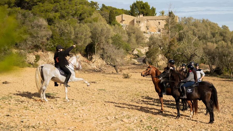 Mallorca: Guided Horseback Ride in Randa Valley - Key things to know before you book