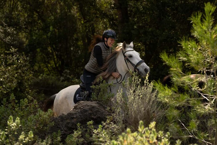 Mallorca: Guided Horseback Ride in Randa Valley - What you get for $116: value beyond the time in the saddle