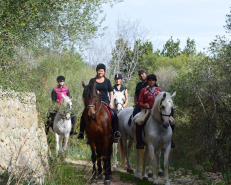 Mallorca: Guided Horseback Ride in Randa Valley - Entering The Randa Valley: what you’re really signing up for