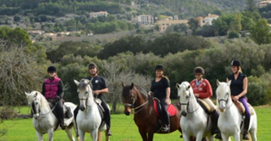 Mallorca: Guided Horseback Ride in Randa Valley - Grooming, tacking up, and why this makes you a better rider