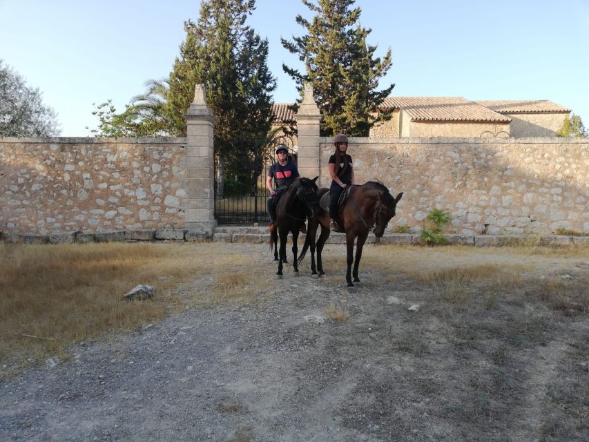 Mallorca: Guided Horseback Ride in Randa Valley - The riding arena session and sand track class: learn before you move