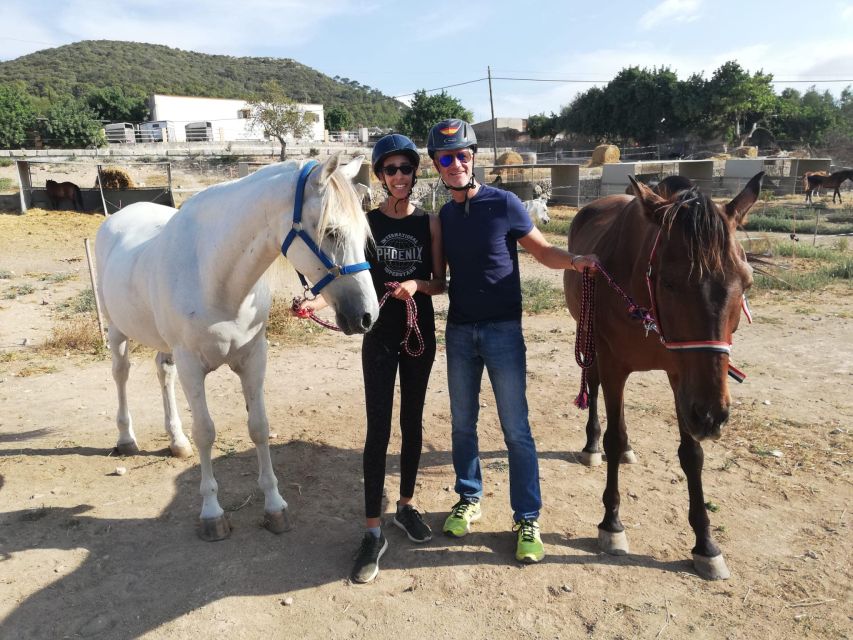Mallorca: Guided Horseback Ride in Randa Valley - Choosing your horse: calm Andalusians make the experience click