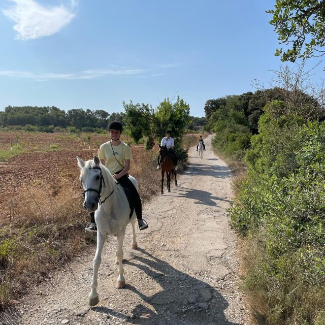 Mallorca: Guided Horseback Ride in Randa Valley - Where trot and canter fit in (and why supervision is the point)