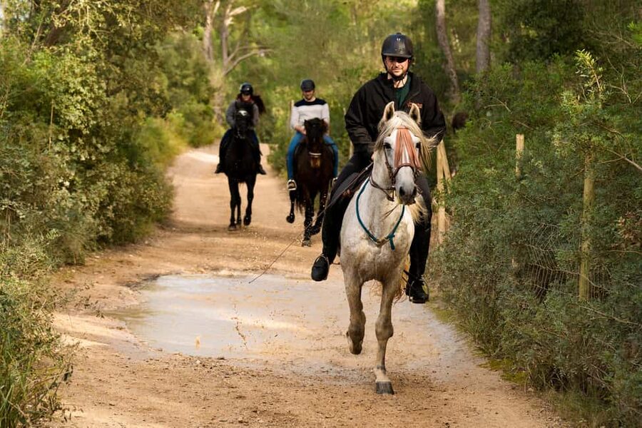 Mallorca: Guided Horseback Ride in Randa Valley - Small-group rhythm: up to 6, not a crowded parade