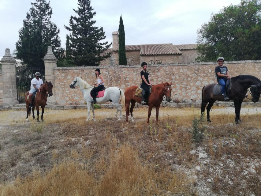 Mallorca: Guided Horseback Ride in Randa Valley - Meeting Mallorca Horses: your first 10 minutes set the tone