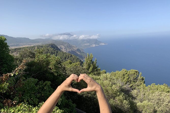 Mallorca Hidden Marvels: Guided Routes for Small Groups - Stop 3: La tafona de Can Det olive oil work, plus orange from the island