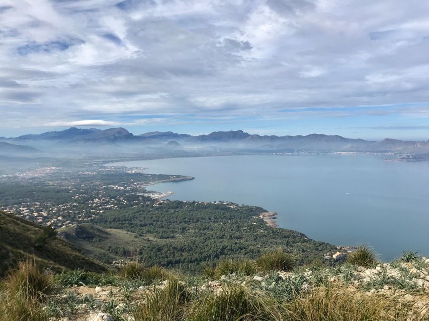 Mallorca: Hiking Adventure on the Alcúdia Peninsula - Who this hike suits best (and who should skip it)