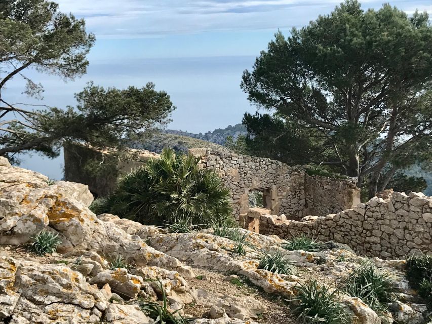 Mallorca: Hiking Adventure on the Alcúdia Peninsula - Should you book this Alcúdia Peninsula hiking adventure?