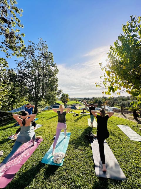 Mallorca: Holistic Private Yoga and Meditation Retreat - Personal Intentions, Tailored Guidance, and Why That Matters