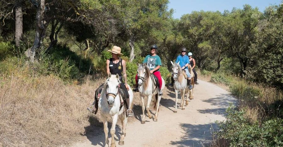 Mallorca: Horseback Riding Excursion and Wine Tasting - Key things that make this horseback and wine combo worth it