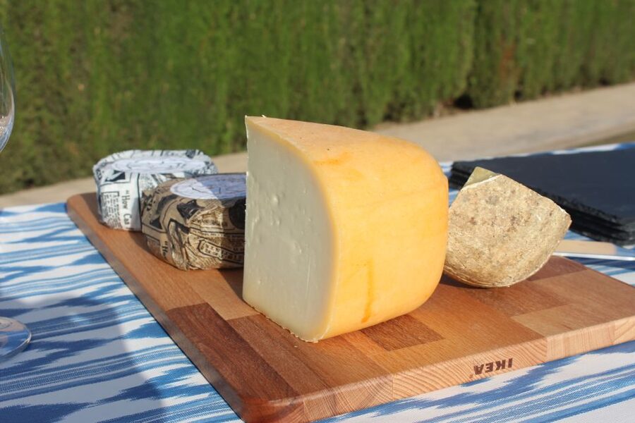 Mallorca: Horseback Riding Excursion and Wine Tasting - Miguel’s wine and cheese tasting: how it’s set up for real flavor, not a sales pitch
