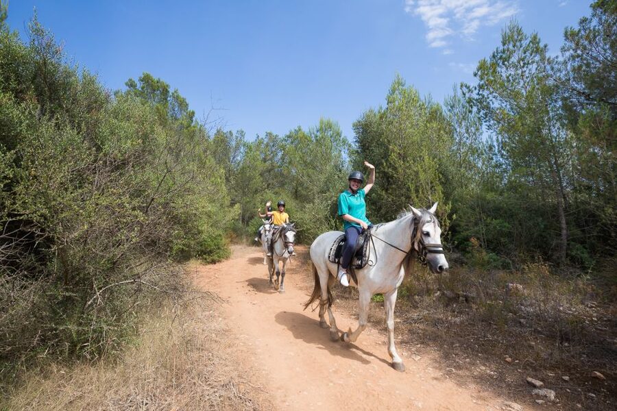 Mallorca: Horseback Riding Excursion and Wine Tasting - Should you book RANXO SES ROQUES for horseback riding and Mallorca wine?