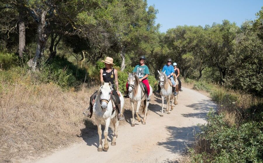 Mallorca: Horseback Riding Excursion and Wine Tasting - What happens when you arrive at the Ses Roques ranch