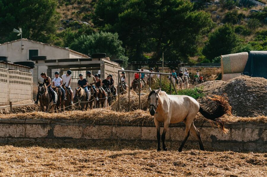 Mallorca: Horseback Riding Experience with Food Options - Pickup, meeting point, and how to get there without stress
