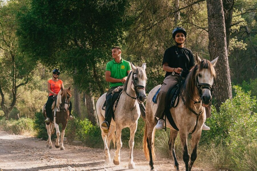 Mallorca: Horseback Riding Experience with Food Options - Walking, trot, and gallop: how the pace changes by comfort