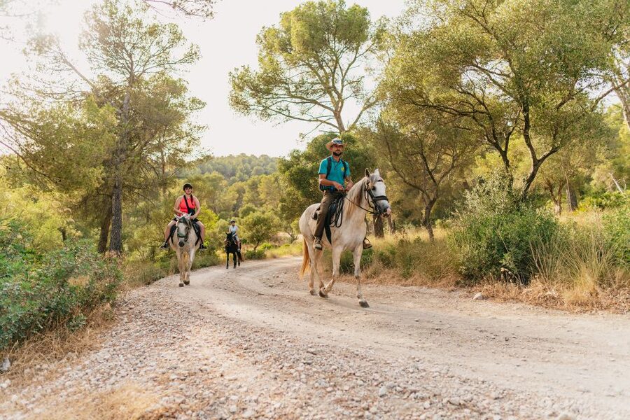 Mallorca: Horseback Riding Experience with Food Options - Photos on horseback: a souvenir you can buy