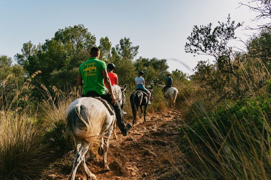 Mallorca: Horseback Riding Experience with Food Options - Food options after the ride: Mallorcan brunch tasting or burger lunch