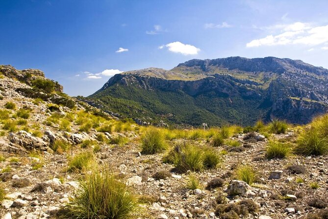 Mallorca in One Day Sightseeing Tour with Boat Ride and Vintage Train - Key takeaways before you go