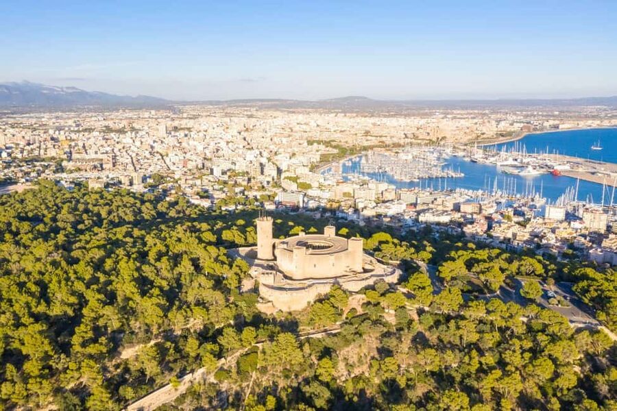 Mallorca: Instafamous Tour of Palma and North coast - The guide’s flexibility is the real value (especially for photography)