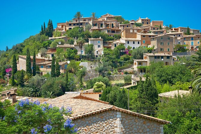 Mallorca Instafamous WEST: Valldemossa, Wine Experience and Palma - Port de Soller Seafront Stroll and Orange-Plantation Drives