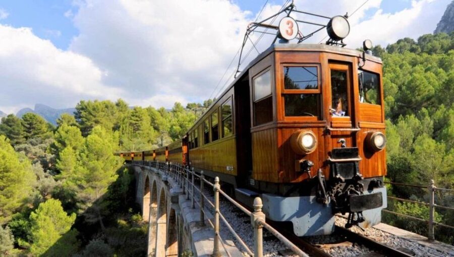 Mallorca: Island Tour with Boat, Train, and Hotel Transfer - Key Highlights You’ll Feel in Your Day