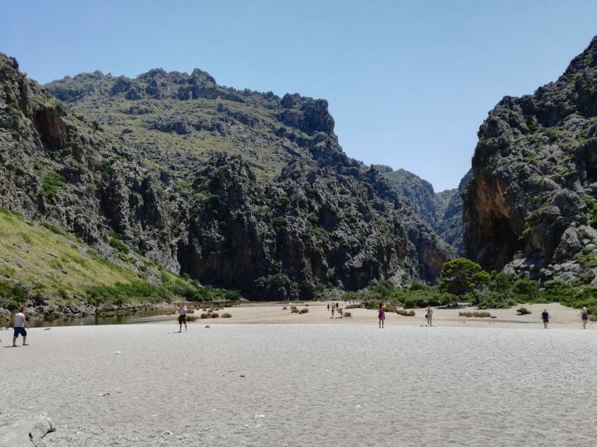 Mallorca: Island Tour with Boat, Train, and Hotel Transfer - Palma to Sóller by Vintage Train: Classic Views Without the Wait
