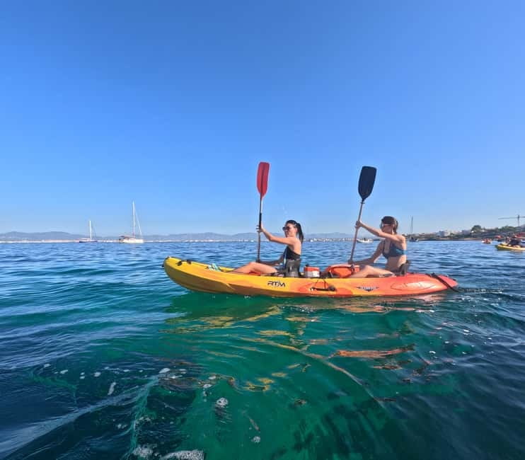 Mallorca: Kayak Rental - Key things to know before you rent a kayak in Mallorca
