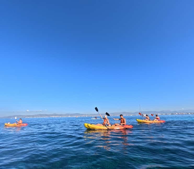 Mallorca: Kayak Rental - Optional extensions: Portixol or Palma cathedral direction